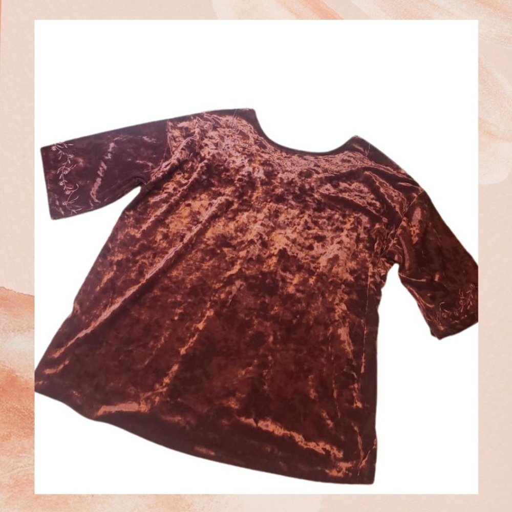 NWT Pinot Crushed Velvet Blouse
